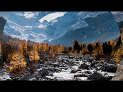 AUTUMN 2