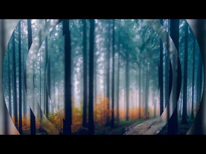 AUTUMN 4