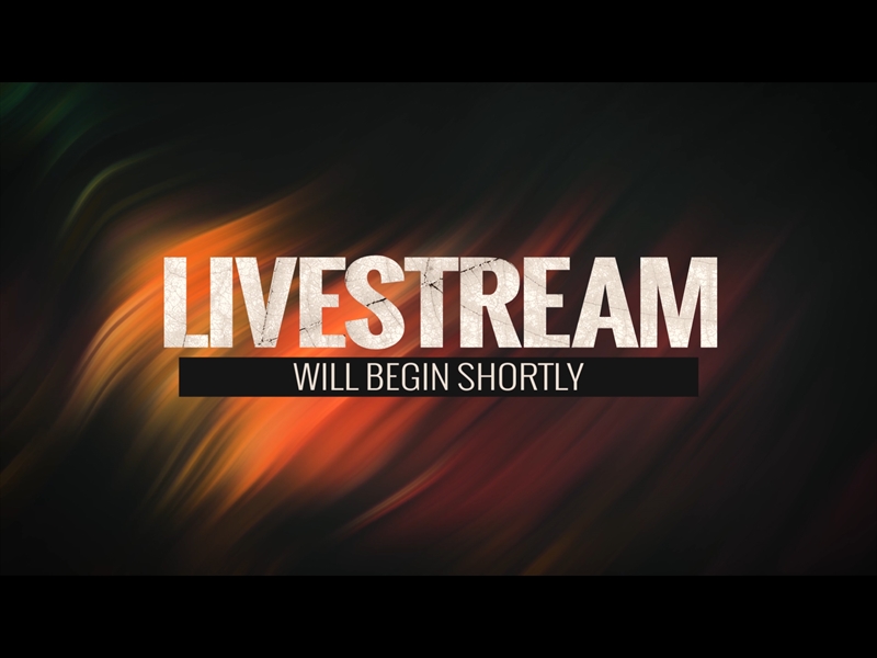 FLOWING FALL LIVESTREAM