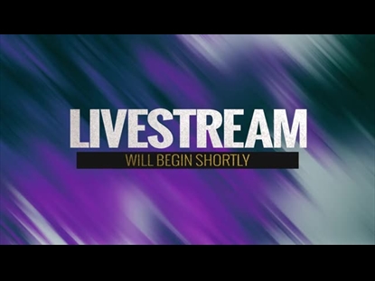 IN THE WINTER LIVESTREAM