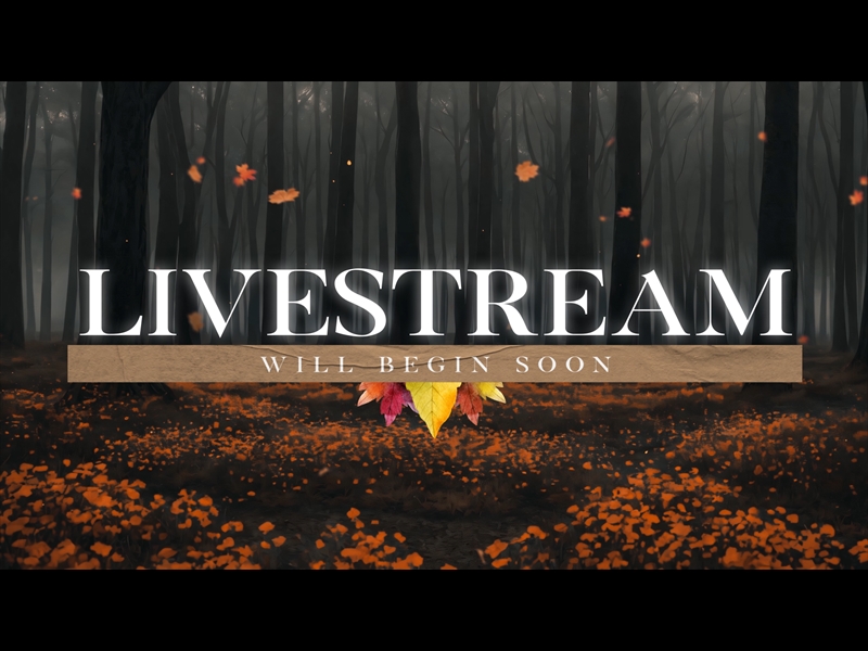 THANKFUL AUTUMN LIVESTREAM