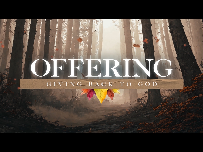 THANKFUL AUTUMN OFFERING