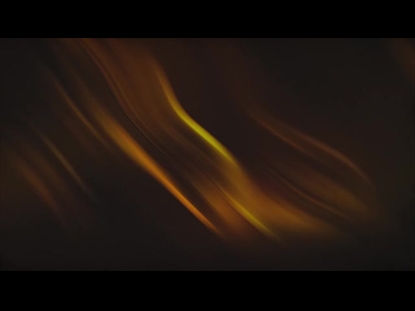 THE COLORS OF FALL 2