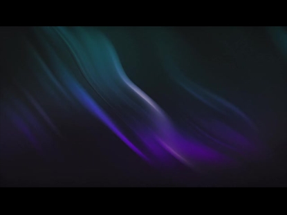 THE COLORS OF WINTER 2