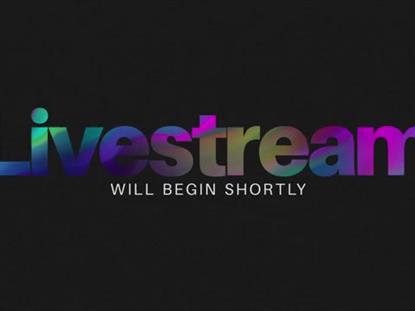 VIBRANCY LIVESTREAM