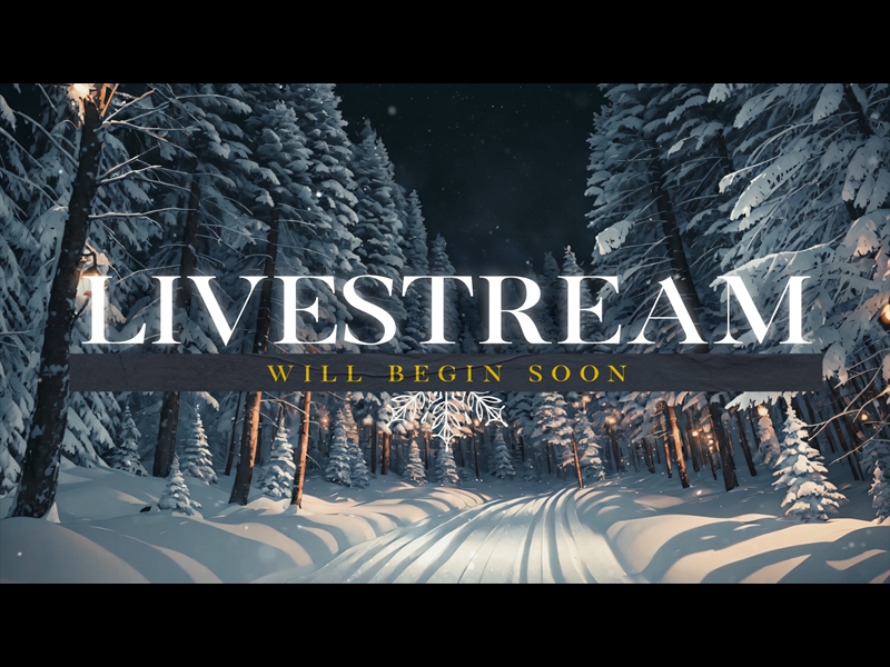 WINTERSCAPE LIVESTREAM