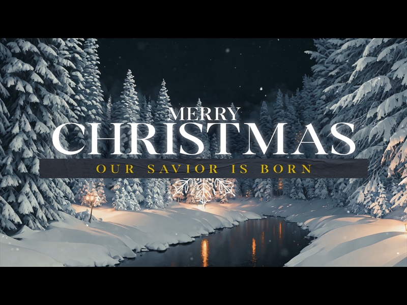 WINTERSCAPE MERRY CHRISTMAS