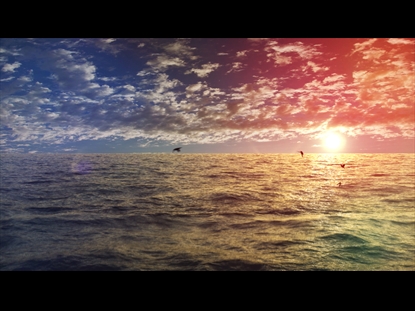 OCEAN SUN MOTION LOOP