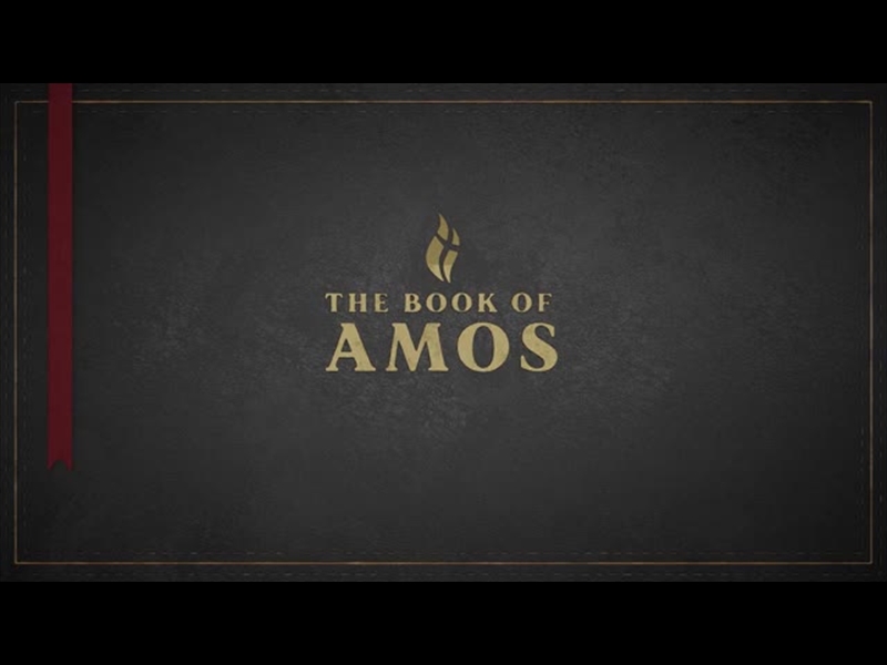AMOS - BLACK