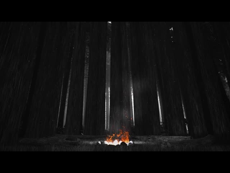 CAMPFIRE MOTION 1