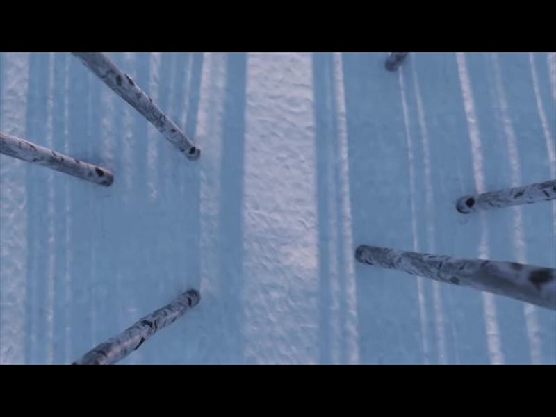 CHRISTMAS JOY: WINTER TREES 02