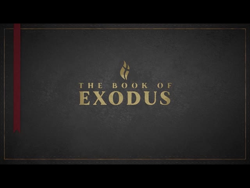 EXODUS - BLACK