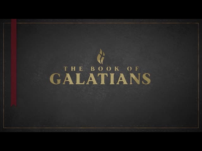 GALATIANS - BLACK