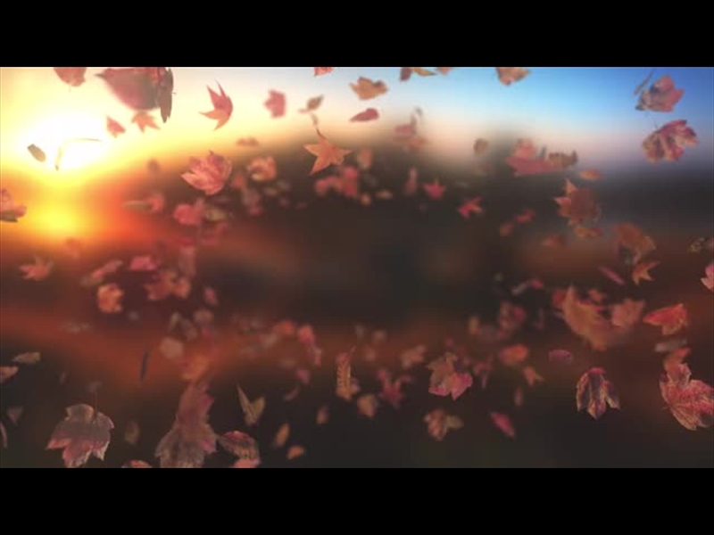 HARVEST LEAVES TUNNEL 02