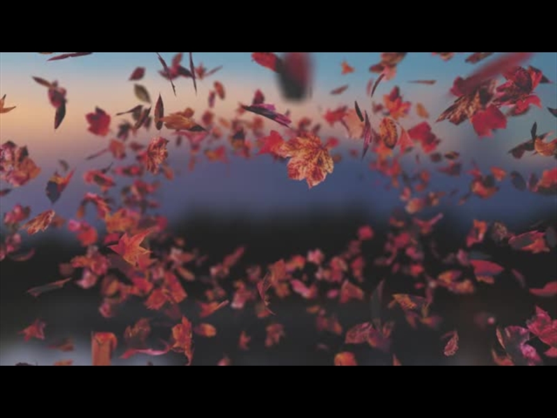 HARVEST LEAVES TUNNEL 04