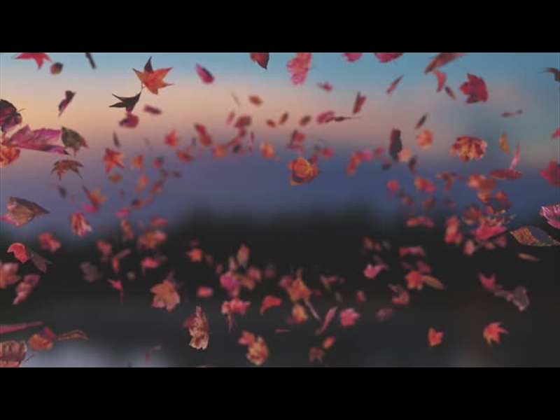 HARVEST LEAVES TUNNEL 05