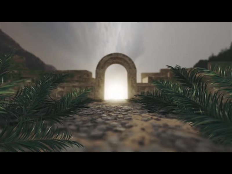 HIS PLAN IS PERFECT: BRANCHES