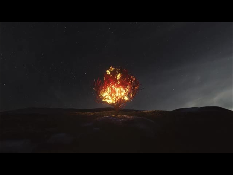 HIS PLAN IS PERFECT: BURNING