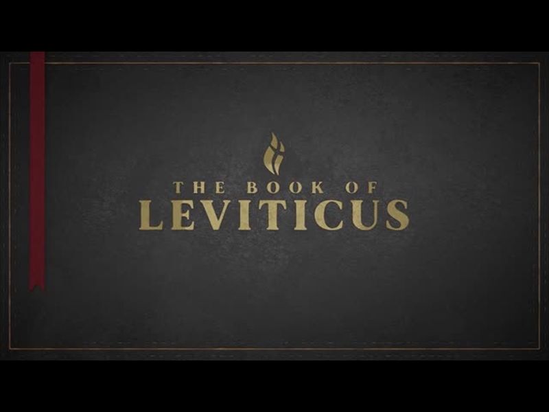 LEVITICUS - BLACK