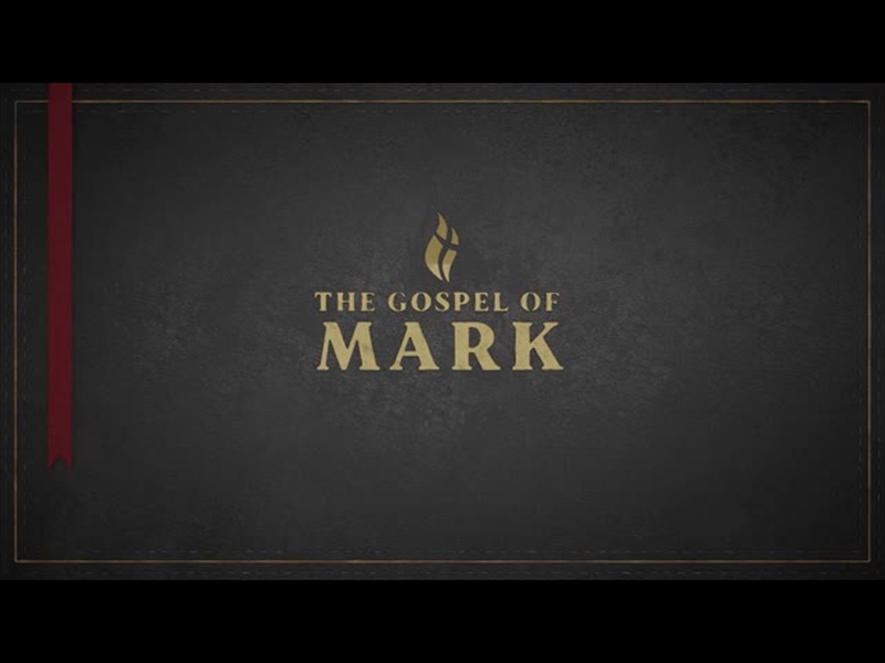 MARK - BLACK