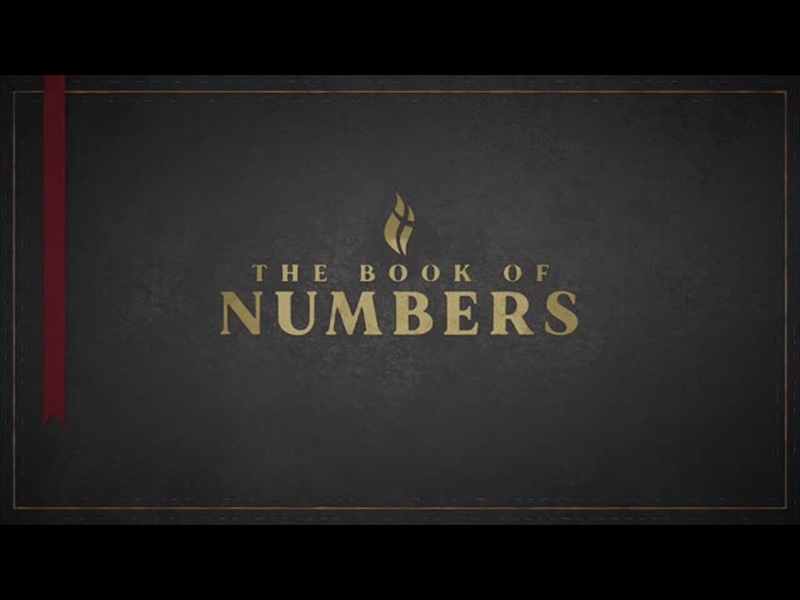 NUMBERS - BLACK