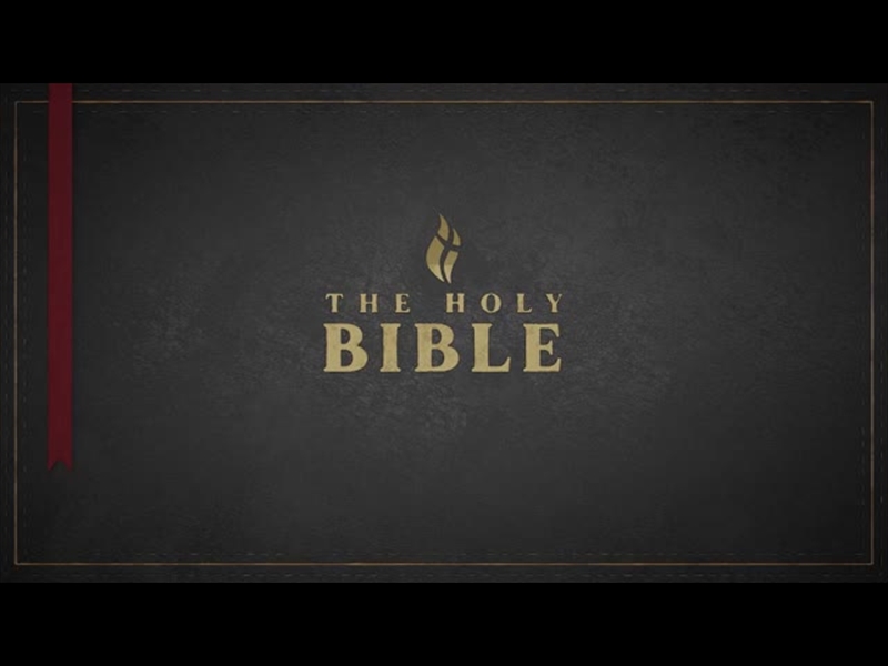 TITLE: THE HOLY BIBLE - BLACK