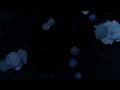 WHO YOU SAY I AM LOOP 1