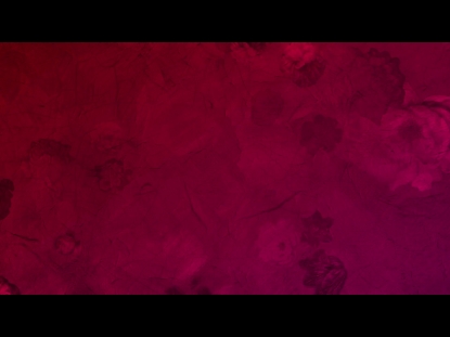 WHO YOU SAY I AM LOOP 14