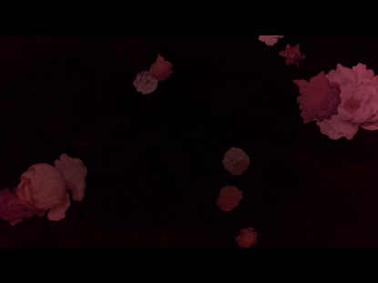 WHO YOU SAY I AM LOOP 8