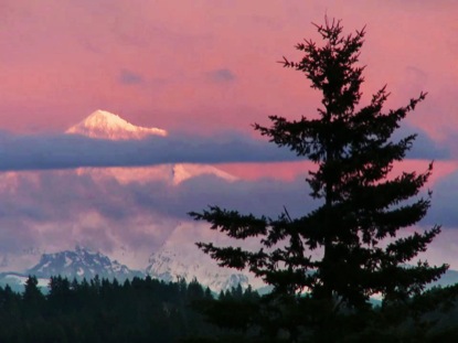 MT. HOOD