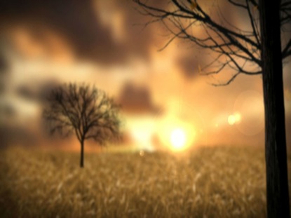 FALL LEAVES BACKGROUND