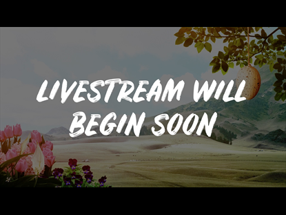 SPRING - LIVESTREAM MOTION BACKGROUND