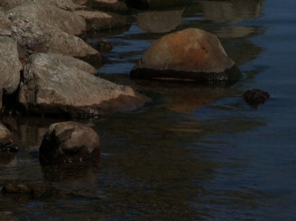 WATER MOTION 3
