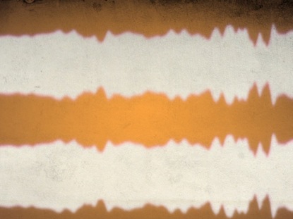 ELECTIC ORANGE MOTION