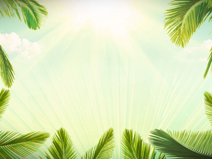 Palm Sunday Background Loop | Hyper Pixels Media | Renewed Vision Media