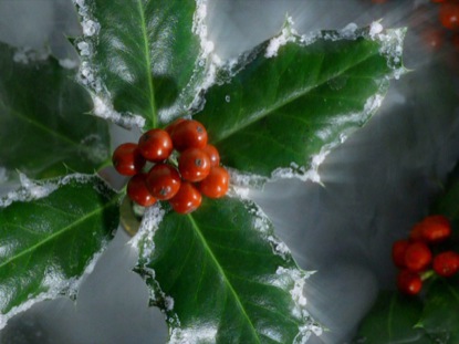 THE HOLLY AND THE IVY