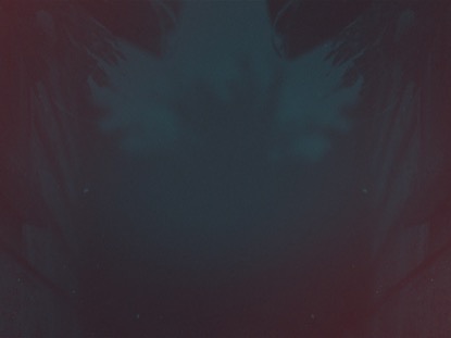 FADED REFLECTIONS SIDING