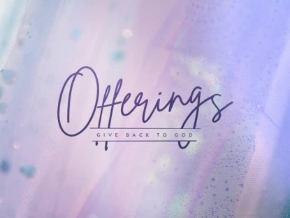 BRIGHT FABRICS OFFERINGS