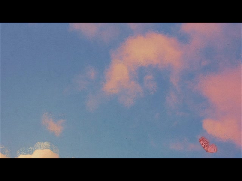 BUTTERFLY SKY LOOP 1