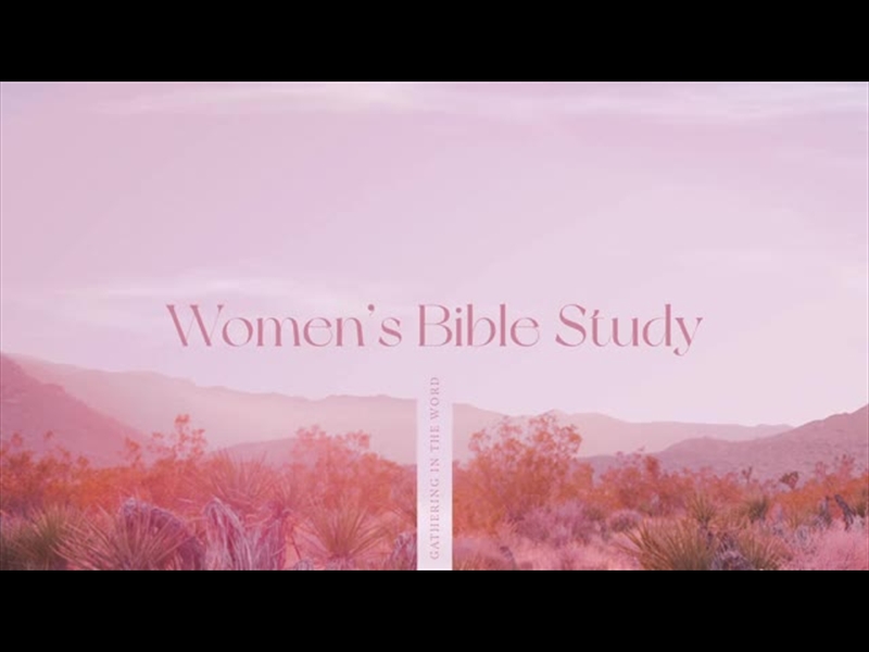 DESERT PINK WOMEN'S BIBLE STUDY