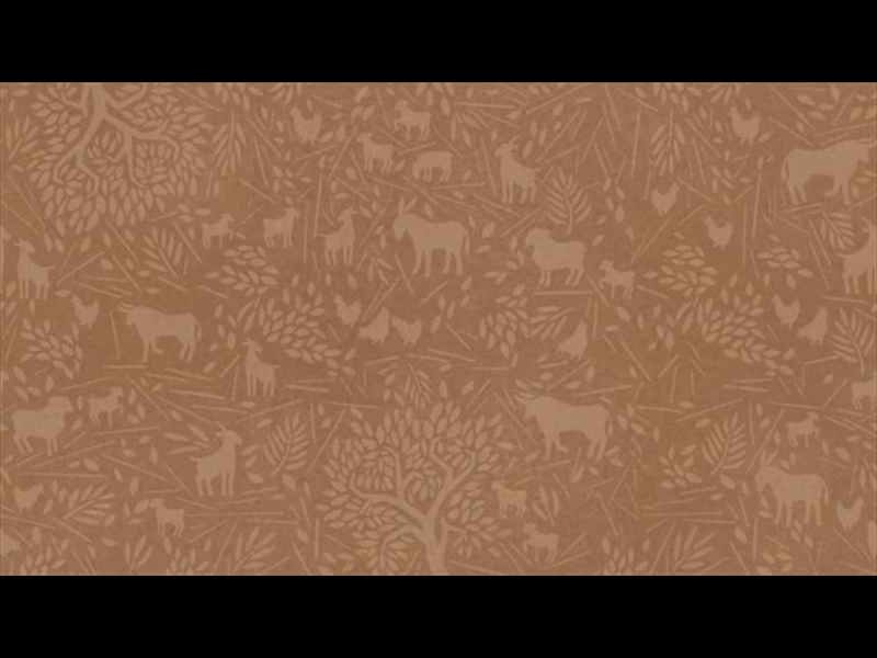 EMMANUEL ILLUSTRATION: 3