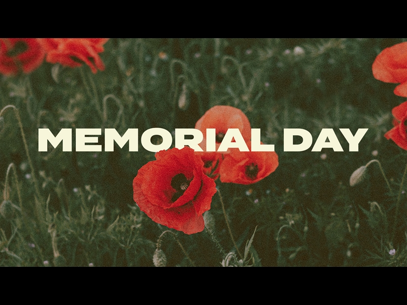 FIELD OF POPPIES: MEMORIAL DAY