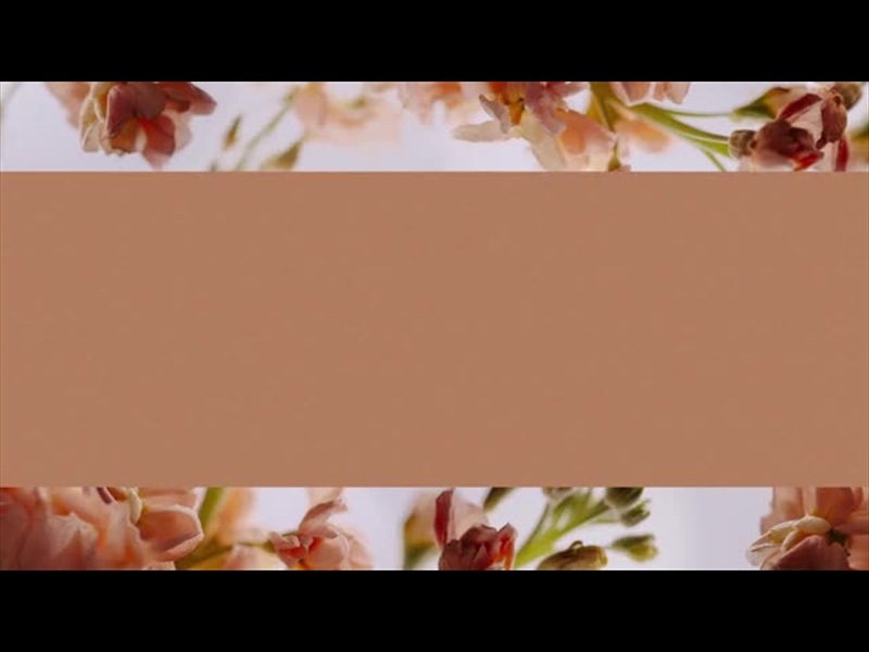 FLORAL DETAILS LOOP 1