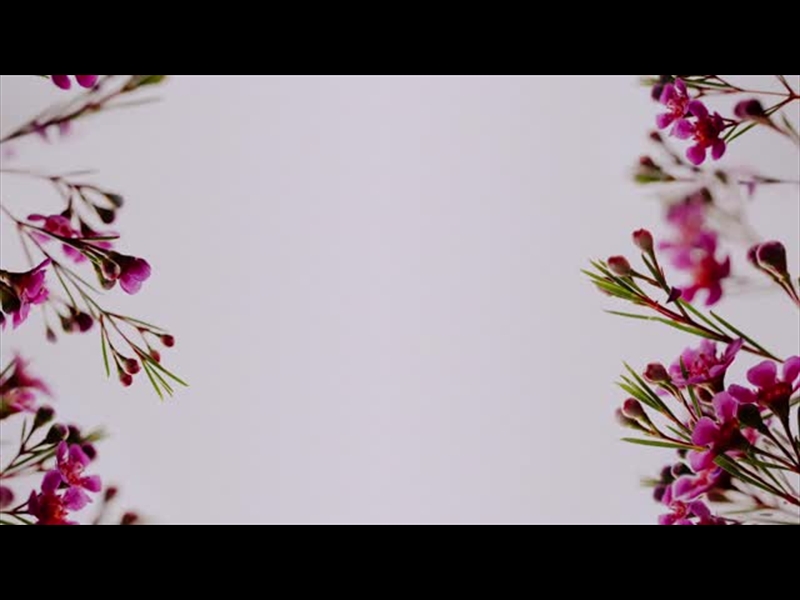 FLORAL DETAILS LOOP 4