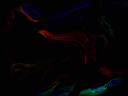 NEON STREAMS 4