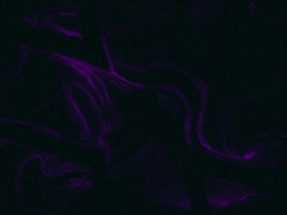 NEON STREAMS 4 DUOTONE