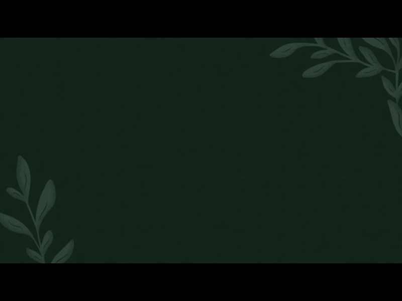 NEW BEGINNINGS LOOP 3