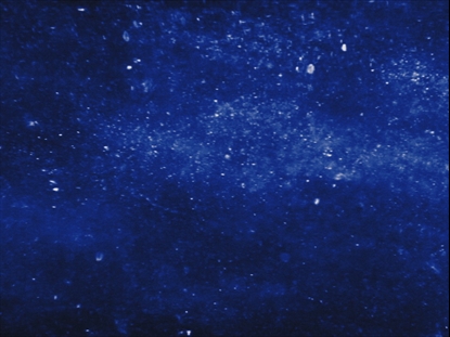 NEW YEAR SPARKLE BLUE