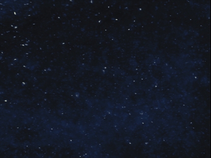 NEW YEAR SPARKLE NIGHT