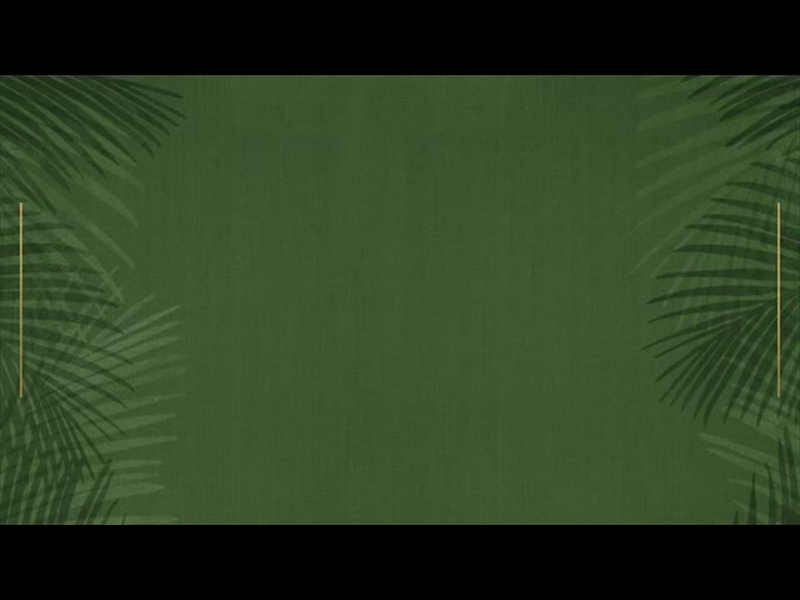 SAYINGS OF EASTER - PALM SUNDAY LOOP